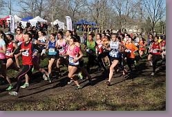 Begles 15.12.13 01 491 * 679 x 453 * (193KB)